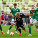 lechia pogoń
