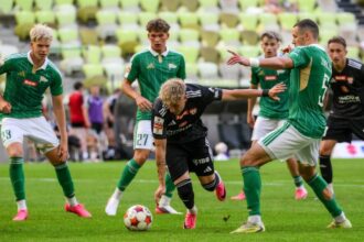 lechia pogoń
