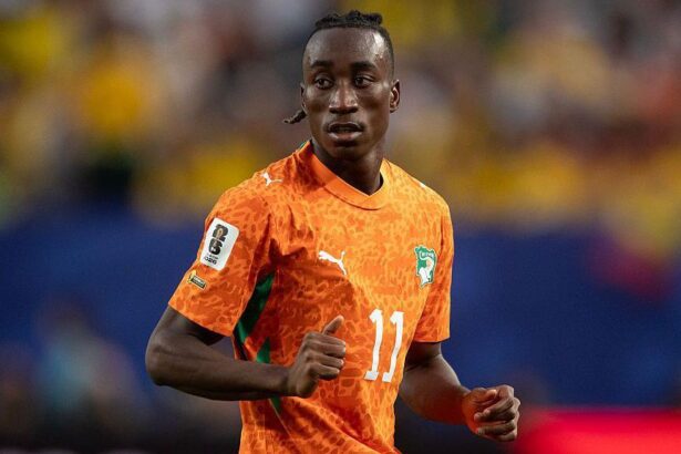 yan diomande