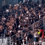 besiktas kibice